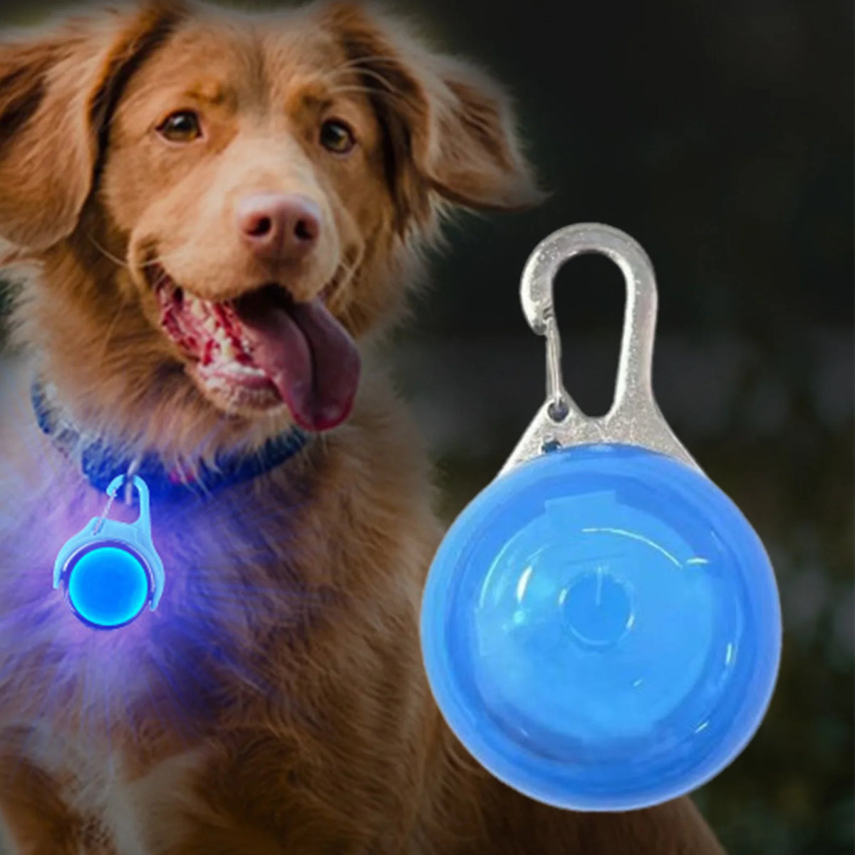 LED Glow Pendant for Pet Collars
